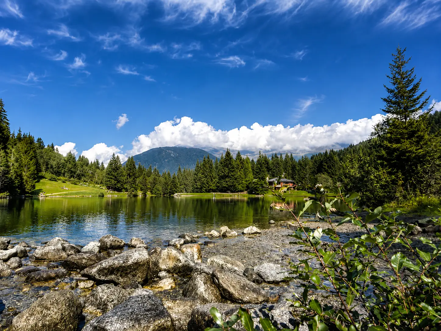 Il Lago dei Caprioli in alta Val di Sole, circondato dai boschi